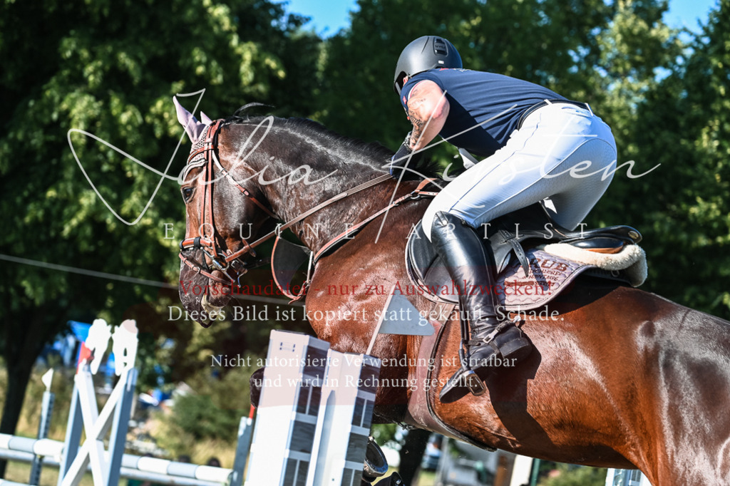 DSC_2944 | Pferde- und Turnierfotografie in Westsachsen. Pferdeportraits, Auftragszeichnungen und intuitive Kunst.