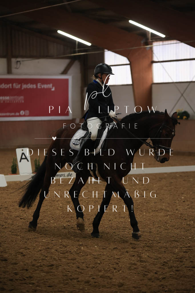 IMGT9450 | pl-fotografie