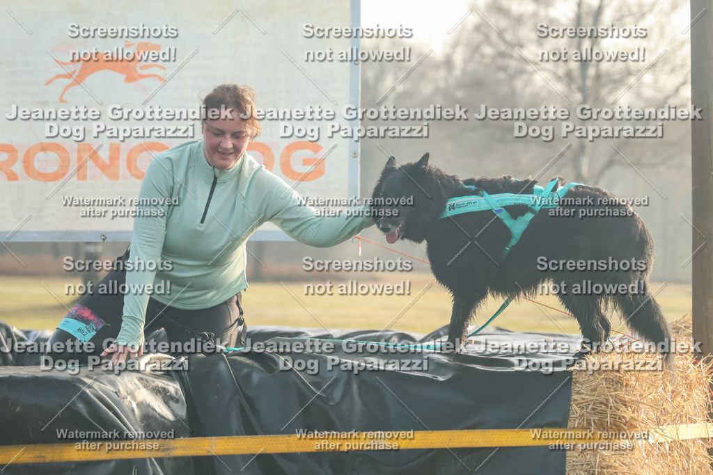 Dog Paparazzi - SD North Sa 830-900-21 | Dog Paparazzi Jeanette Grottendiek Fotografie & Videografie - Realisiert mit Pictrs.com
