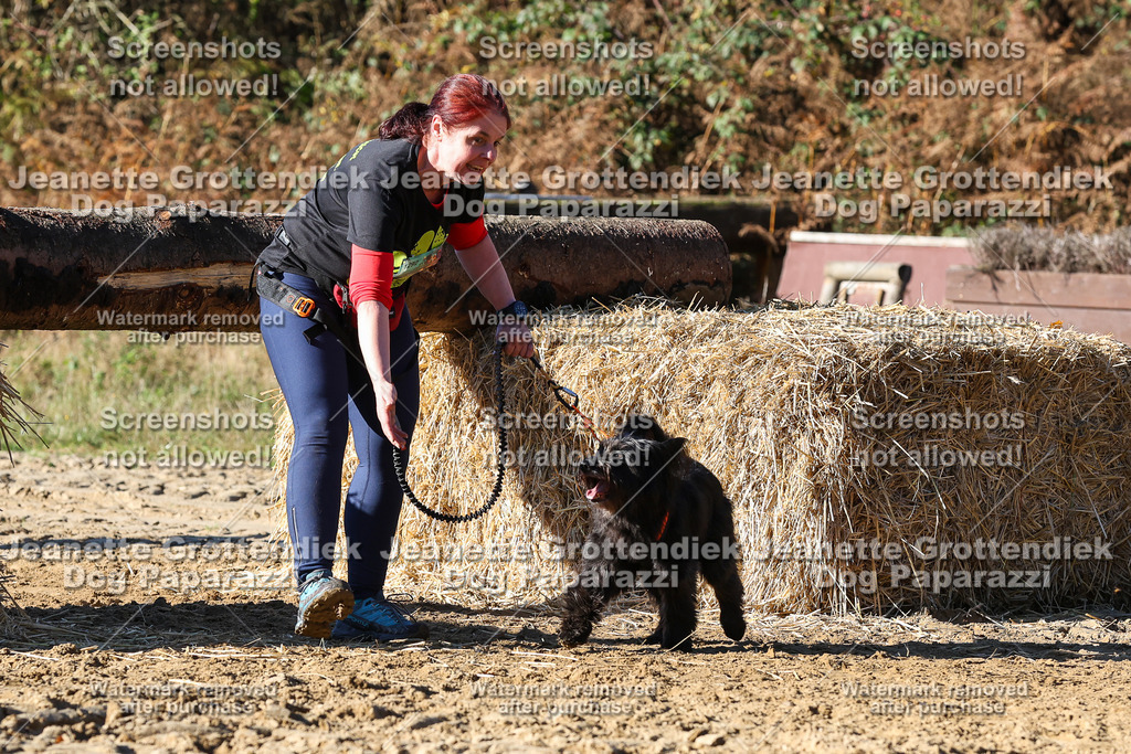 Dog Paparazzi - Strongdog 10-25-2262 | Dog Paparazzi Jeanette Grottendiek Fotografie & Videografie - Realisiert mit Pictrs.com