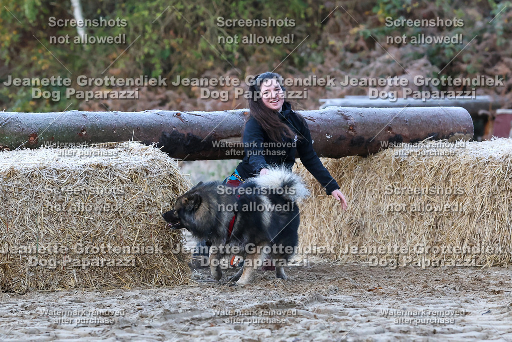 Dog Paparazzi - Strongdog 10-25-189 | Dog Paparazzi Jeanette Grottendiek Fotografie & Videografie - Realisiert mit Pictrs.com