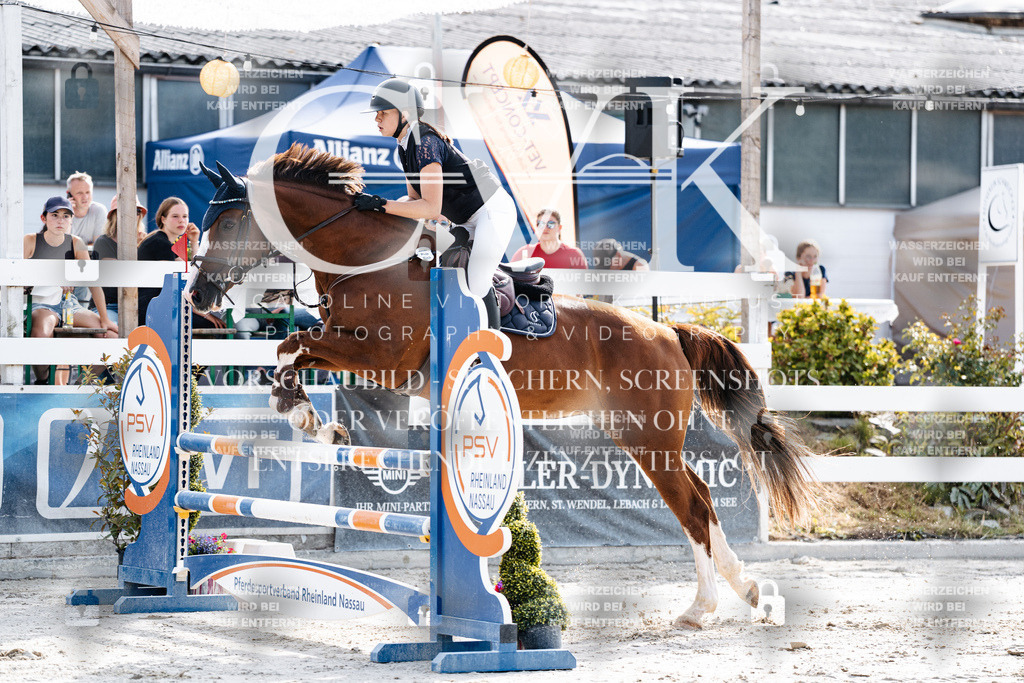 CK905710 | Turnierfotografie Pferdefotografie Trier Rheinland-Pfalz Pferdesport Reitsport Tierfotografie Sportfotografie Pferdevideo Pferdevideografie Equestrianvideography equestrianphotography  - Realisiert mit Pictrs.com