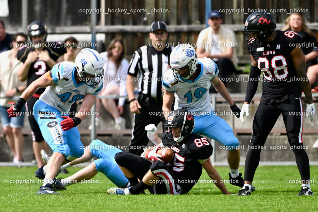 Carinthian Lions vs. Styrian Bears | Carinthian Lions vs. Styrian Bears, Carinthian Lions vs. Styrian Bears am 20.05.2024 in Klagenfurt (ASV Sportplatz), Austria, (Photo by Bernd Stefan)