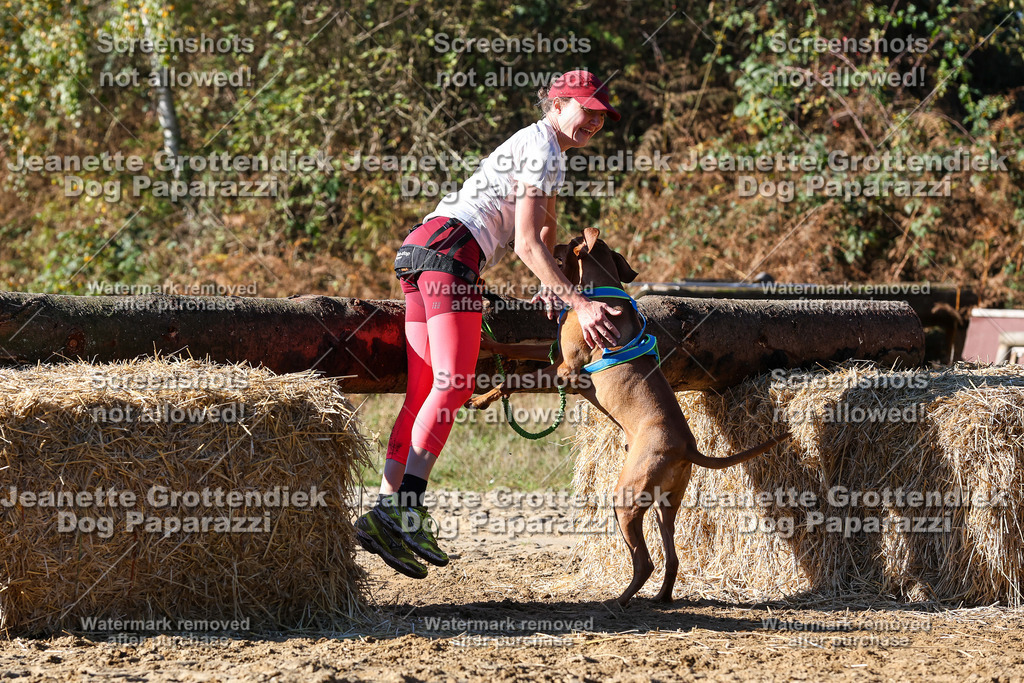 Dog Paparazzi - Strongdog 10-25-2343 | Dog Paparazzi Jeanette Grottendiek Fotografie & Videografie - Realisiert mit Pictrs.com