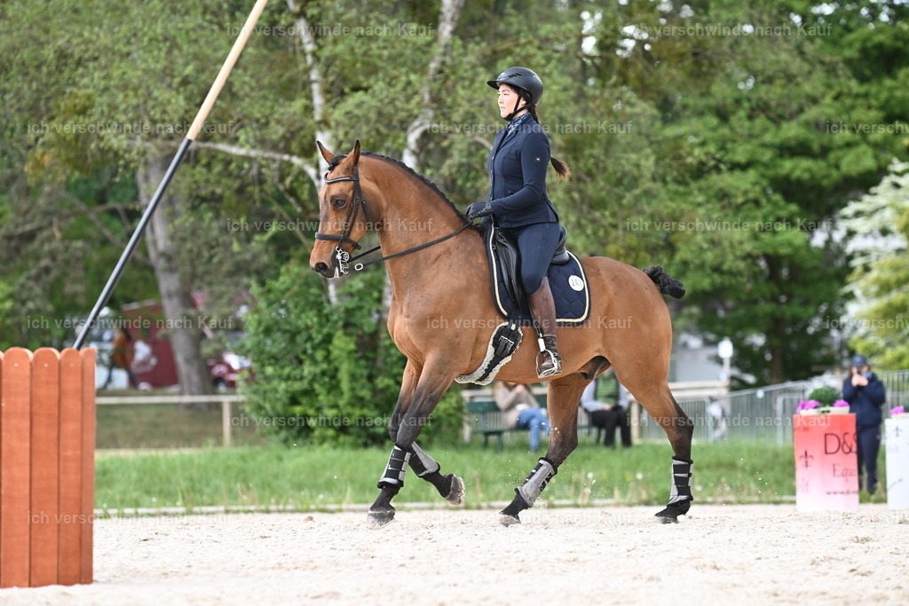 PI26_ST_Sara_Landvogt226_3228.JPG | working equitationturnier fotograf videograf stoibphotography marixx film working equitation deutschland reitsport turnierfotografie eventfotografie equestrian events