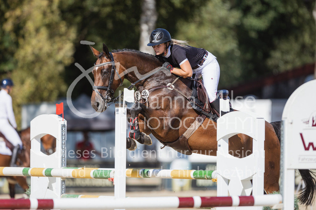 220824_Delbrueck_Stil-M1-245 | Deine schönsten Turniermomente als professionelle Fotos! Entdecke hochwertige Pferdesport-Fotografie im Online-Shop. Jetzt Fotos finden & bestellen!