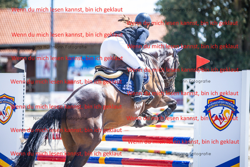 BK1A5235 | Turnierbilder Turnierfotos Nina Hüffmann Turnierfotografie Pferdefotografie Tierzeichnung Haustierzeichnung Pferdezeichnung Hundezeichnung Videograf  - Realisiert mit Pictrs.com