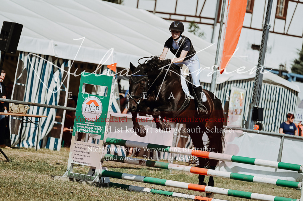 DSC_9711 | Pferde- und Turnierfotografie in Westsachsen. Pferdeportraits, Auftragszeichnungen und intuitive Kunst.