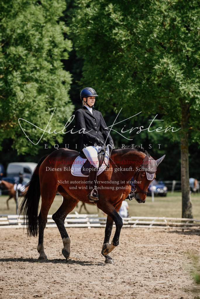 DSC_1168 | Pferde- und Turnierfotografie in Westsachsen. Pferdeportraits, Auftragszeichnungen und intuitive Kunst.