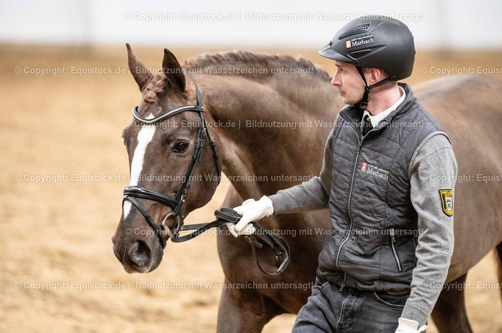 20260307_Hengstvorstellung-Marbach_0551 | equistock