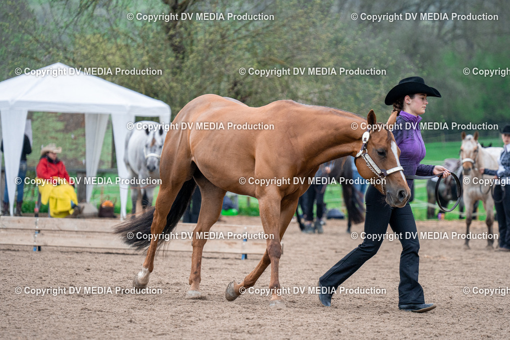 BA300038 | dv-media-shop - Realisiert mit Pictrs.com