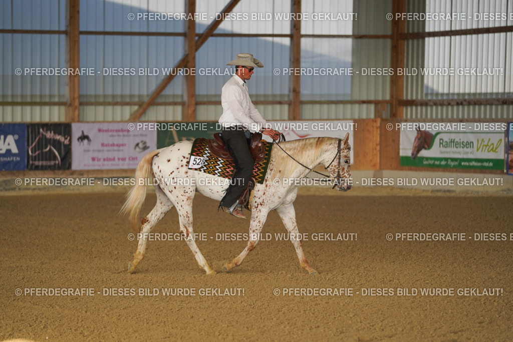 DSC07949 | Pferdegrafie