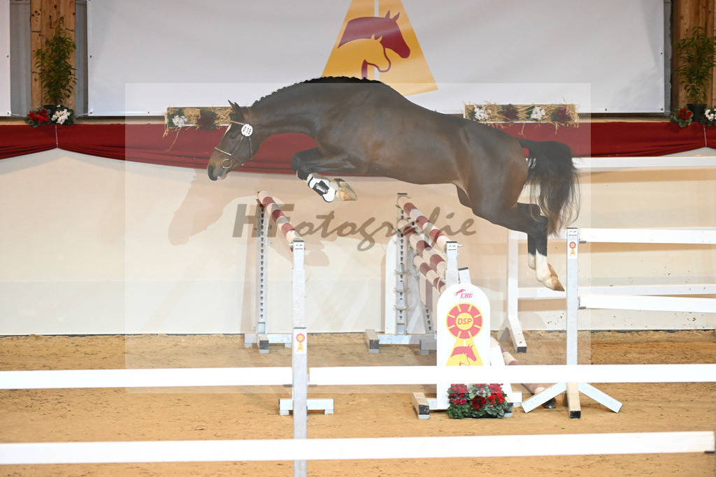 Kat-Nr. 18 Del Arko d Henvet_Mueller-Schwender_1230874 | hf-fotografie - Realizzato con Pictrs.com