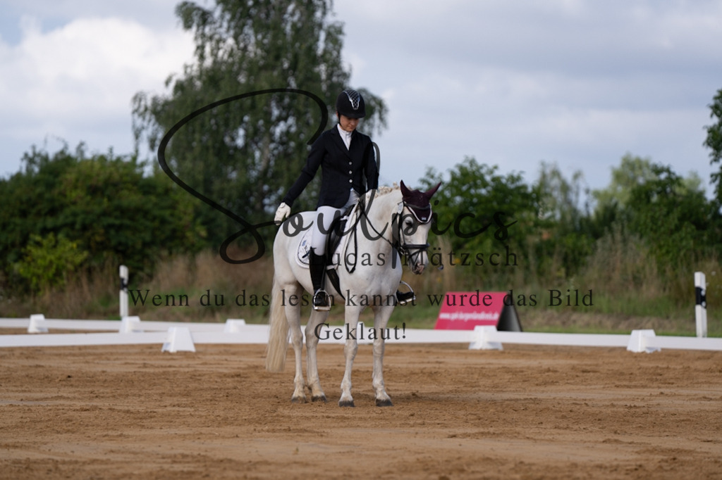 A7V05158 | Pferdefotograf