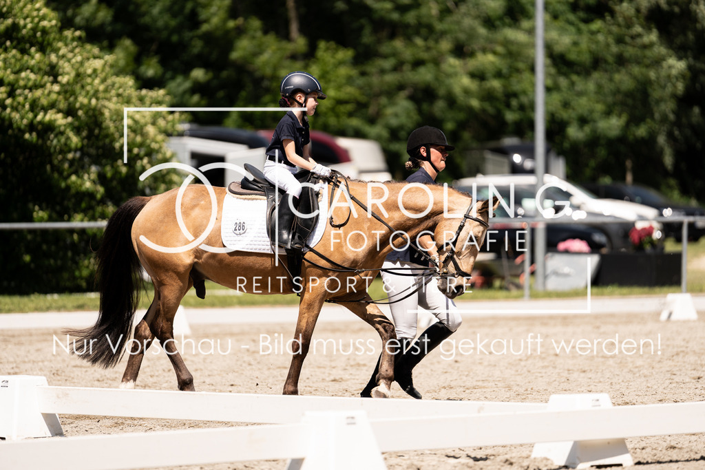 DSC00886 | Carolin Gieschke