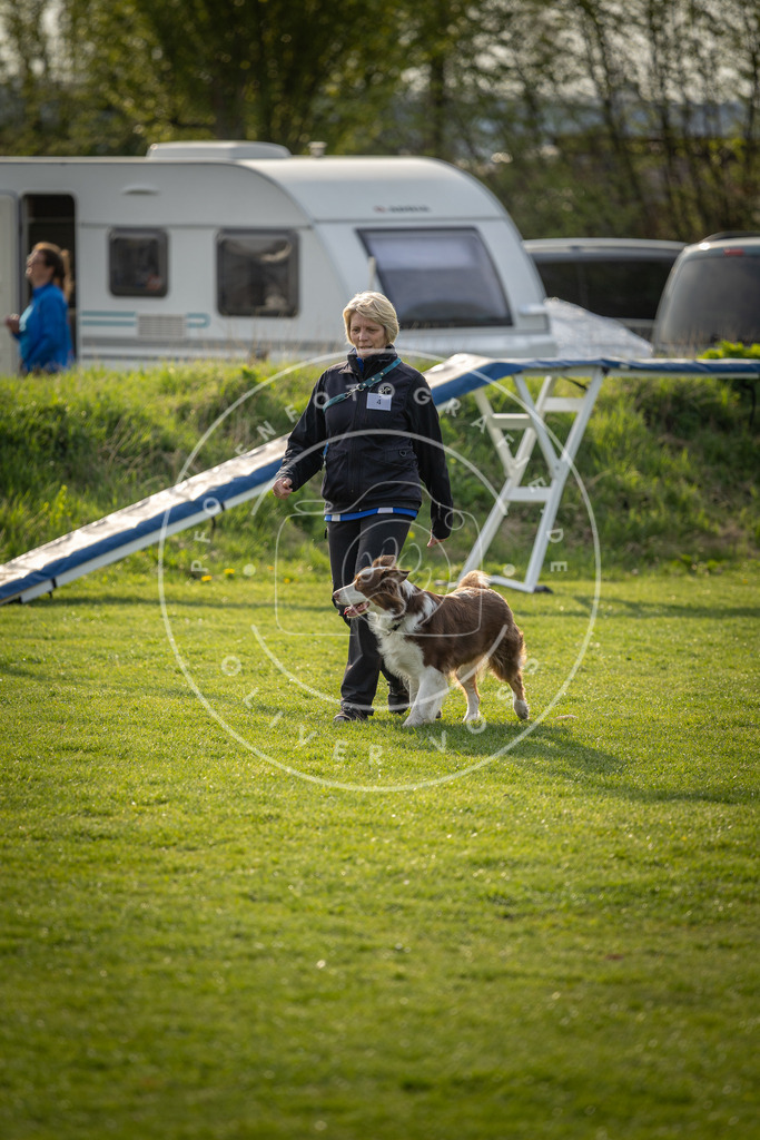 Pfotenfotografie_DV3A4797 | Hundefotografie, Tierfotograf, Pfotenfotografie, Fotoshooting Hund, Hunde Portrait, Hundesport, Hundeportraits, Heideshooting, Hunde, Sportfotograf, Hundefotograf, Turnierhundsport, THS,  - Realisiert mit Pictrs.com