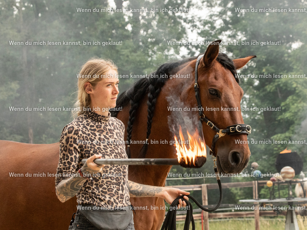 598A8048 | photographylinaismer - Realisiert mit Pictrs.com