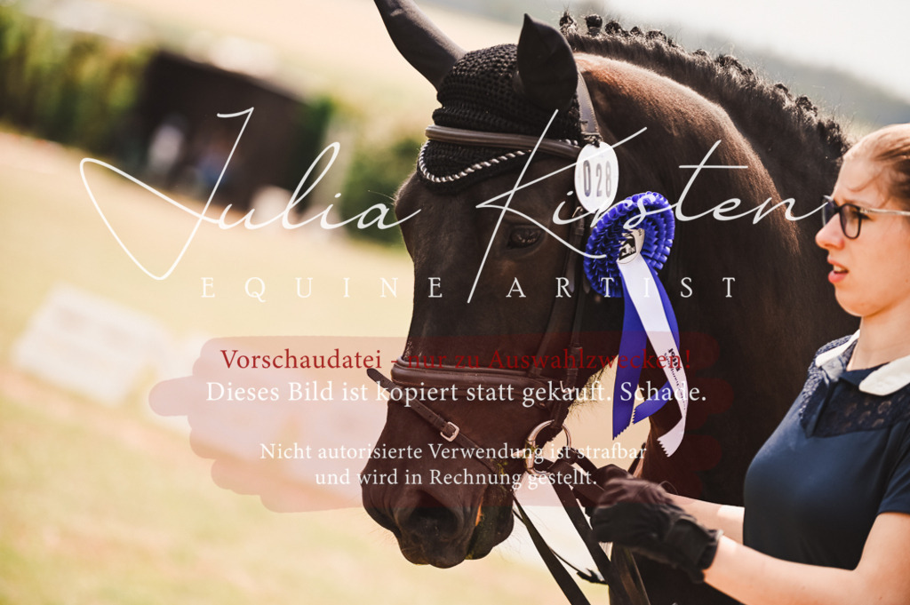 DSC_6443 | Pferde- und Turnierfotografie in Westsachsen. Pferdeportraits, Auftragszeichnungen und intuitive Kunst.