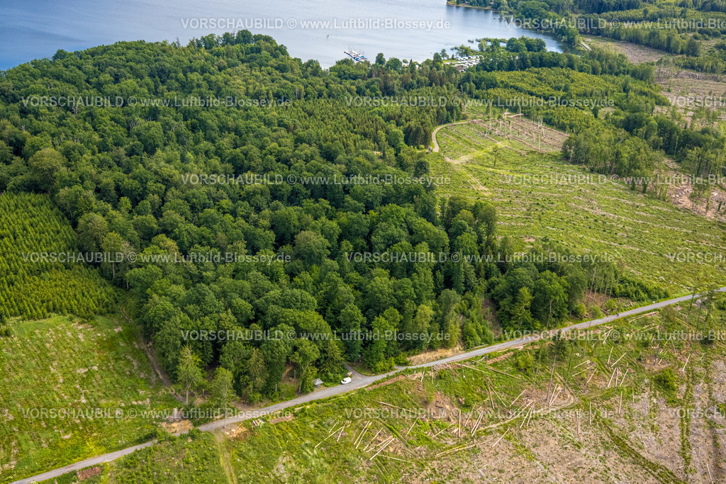 Moehnesee220600800 | Luftbild, Möhnesee und Waldgebiet mit Waldschäden, Delecke, Möhnesee, Sauerland, Nordrhein-Westfalen, Deutschland