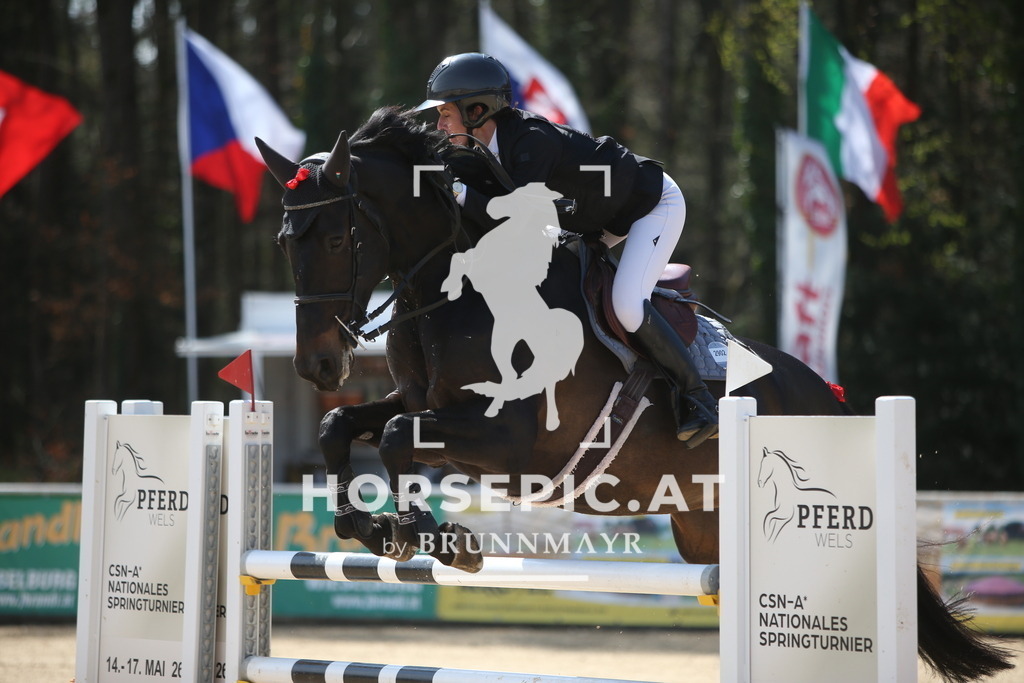 PP014099 | Willkommen bei Brunnmayr - Design & Fotografie – Ihrem Spezialisten für Reitturniere und Pferdeveranstaltungen in Oberösterreich, Salzburg und Bayern! Seit über 17 Jahren sind wir leidenschaftlich dabei.