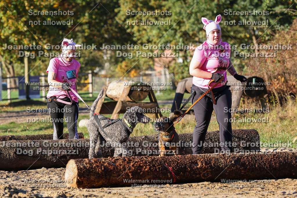 Dog Paparazzi - Strongdog 10-25-1053 | Dog Paparazzi Jeanette Grottendiek Fotografie & Videografie - Realisiert mit Pictrs.com