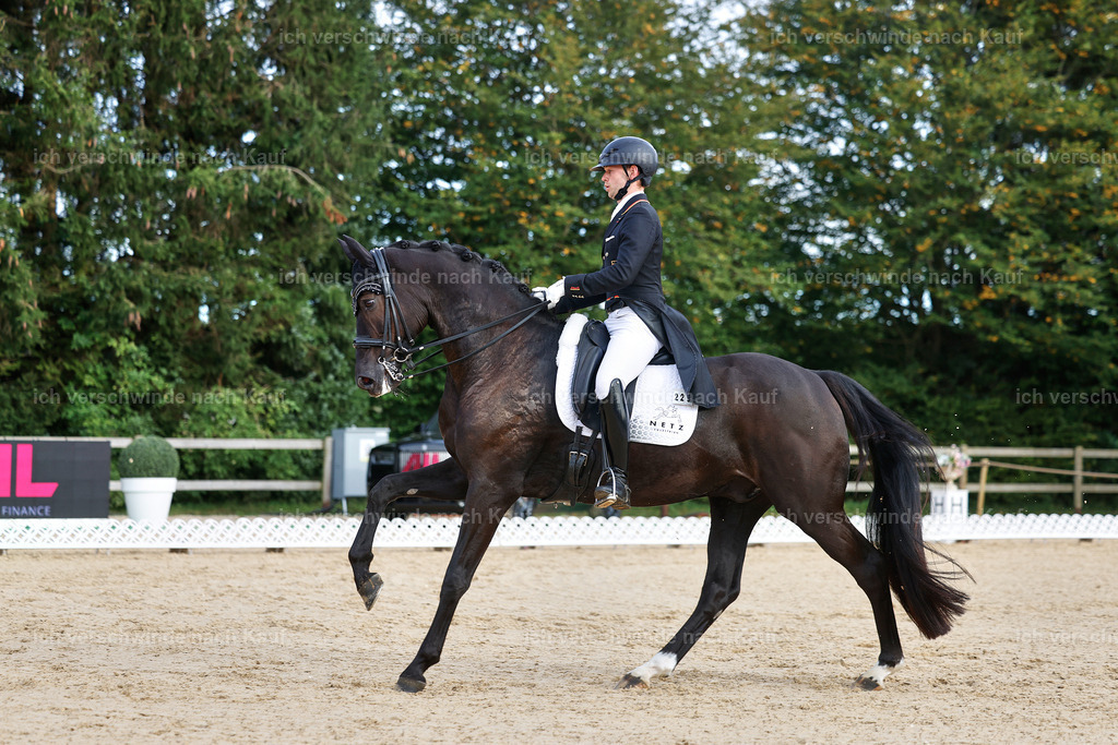 13-229-S___ -StoibPH-6982 | working equitationturnier fotograf videograf stoibphotography marixx film working equitation deutschland reitsport turnierfotografie eventfotografie equestrian events
