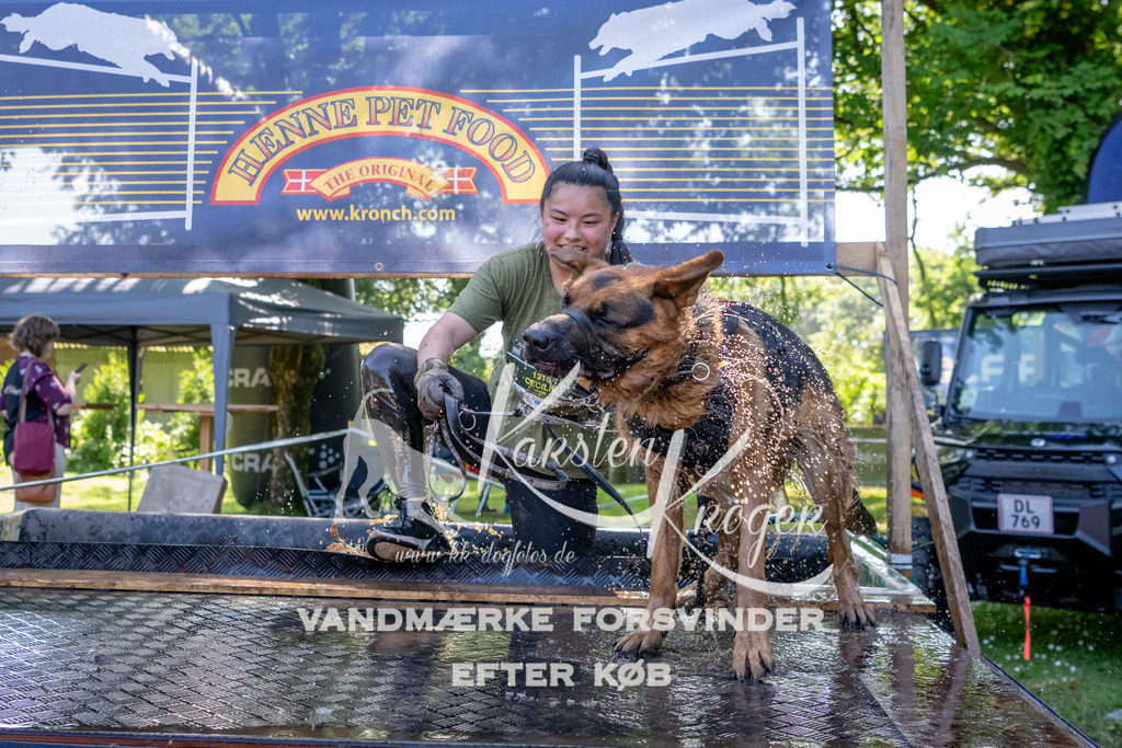 1528_ZZ91466 | kk-dogfotos