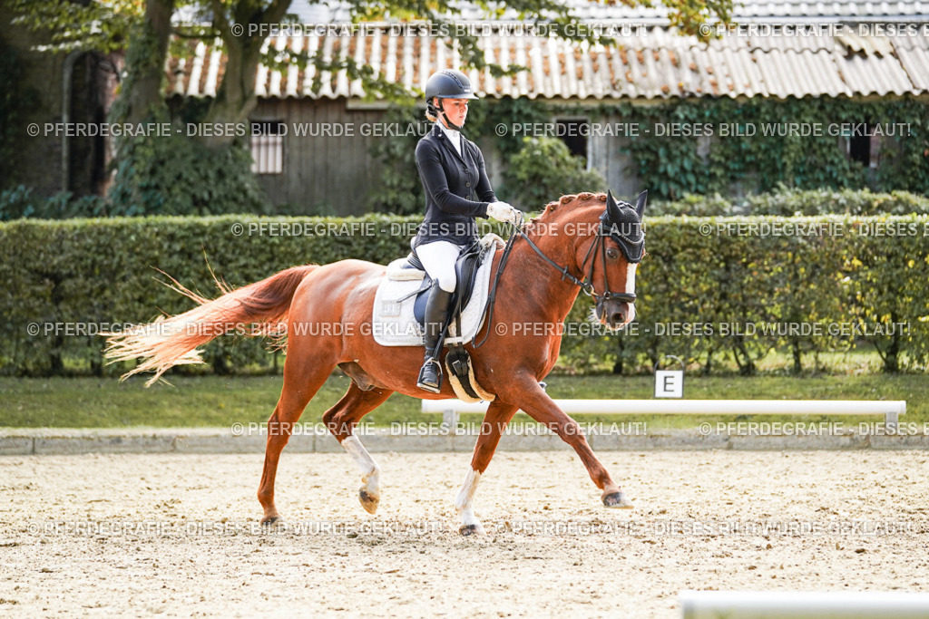 DSC08978 | Pferdegrafie