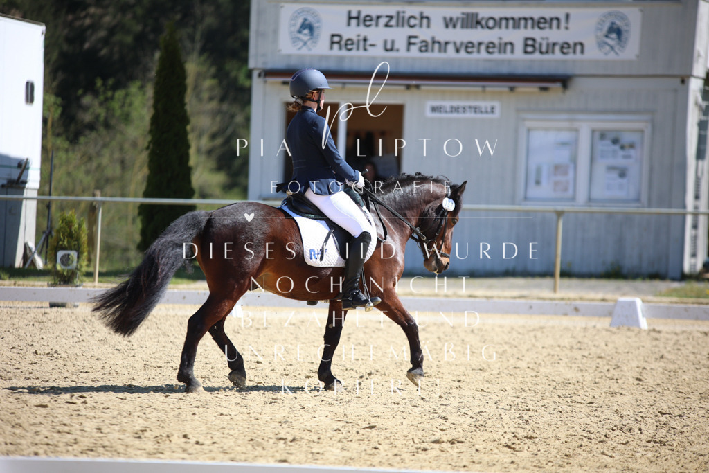 IMGT7657 | pl-fotografie