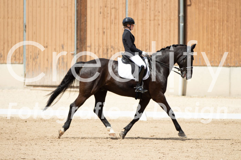 IMG_5923 | Creatify Fotografie