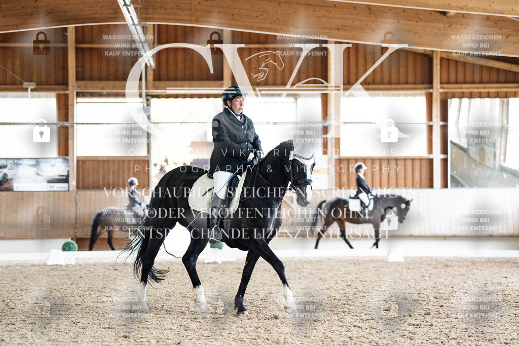 CK901145 | Turnierfotografie Pferdefotografie Trier Rheinland-Pfalz Pferdesport Reitsport Tierfotografie Sportfotografie Pferdevideo Pferdevideografie Equestrianvideography equestrianphotography  - Realisiert mit Pictrs.com