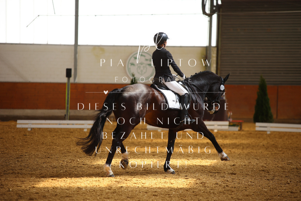 IMGT4522 | pl-fotografie