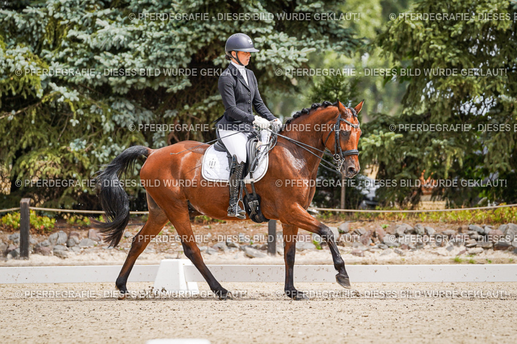 DSC03641 | Pferdegrafie