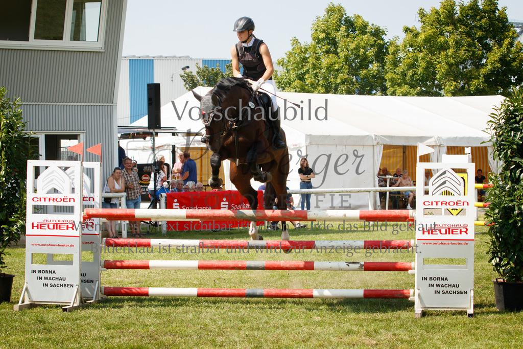 IMG_3539 | P. Berger Fotografie - Realisiert mit Pictrs.com