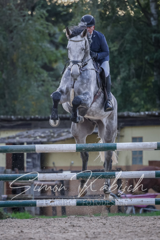 20251012-_3LI5888 | Tierfotografie Pferde, Hunde, Katzen, Haustiere.
Turnierfotografie Reitturniere, Reiten, Springreiten, Dressur in Hanau, dem Main-Kinzig-Kreis und dem Rhein-Main- Gebiet um Frankfurt