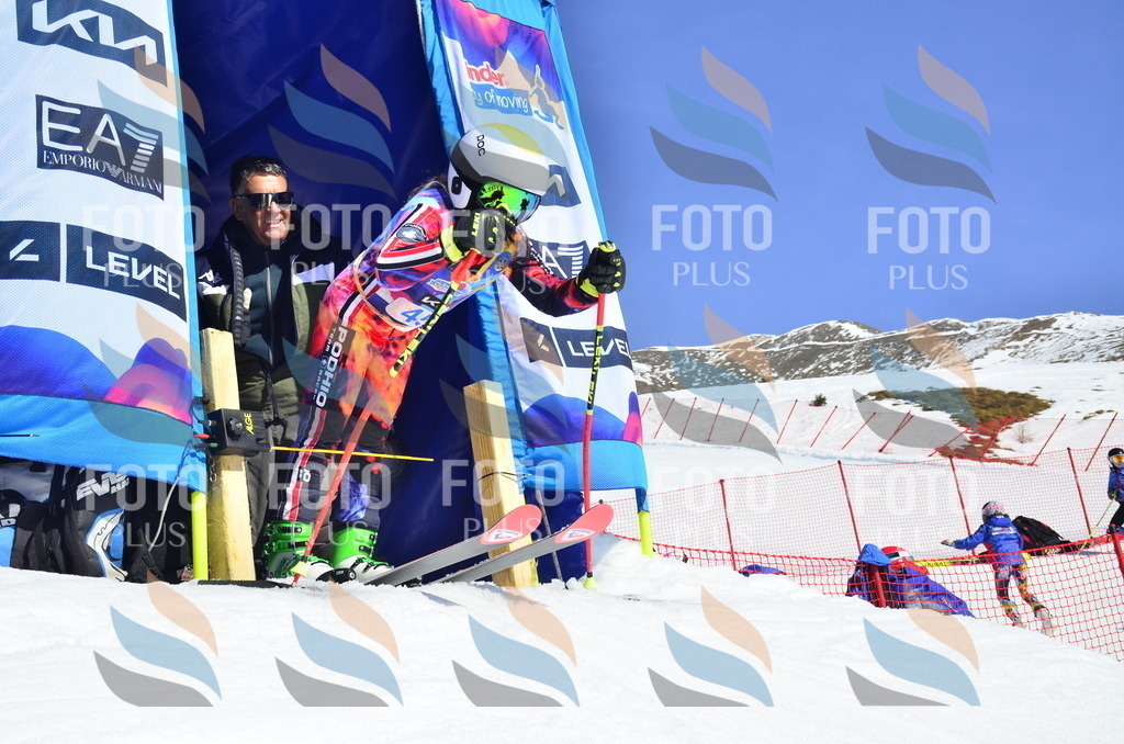 _ELE0089 | holidayphoto