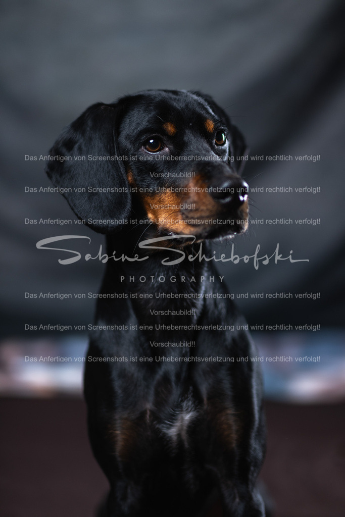 DSCF4424 | People- und Tierfotografie, Imageaufnahmen, Veranstaltungsfotografie und Wandbilder aus der Natur ★ Made in Germany ✔️ Druck + Downloads ✔️ Naturfotografie in Top Qualität ★ schneller Versand, weltweite Lieferung! - Realisiert mit Pictrs.com