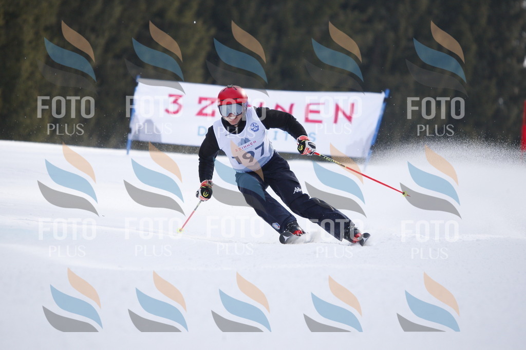 D7982 | holidayphoto