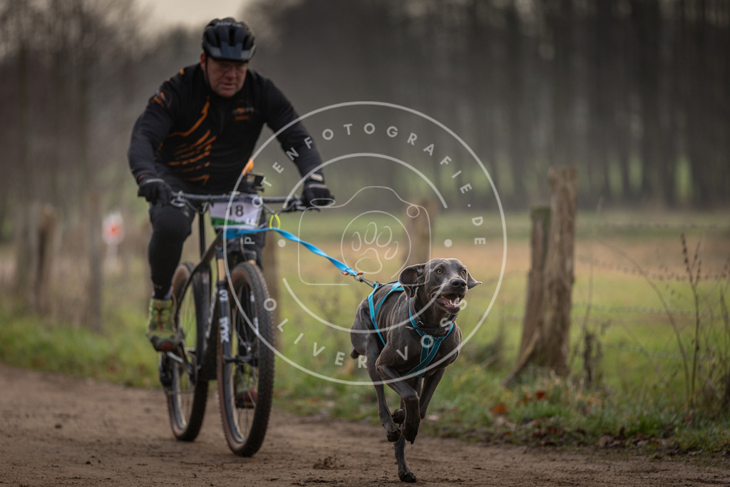 Pfotenfotografie_DV3A1928 | Hundefotografie, Tierfotograf, Pfotenfotografie, Fotoshooting Hund, Hunde Portrait, Hundesport, Hundeportraits, Heideshooting, Hunde, Sportfotograf, Hundefotograf, Turnierhundsport, THS,  - Realisiert mit Pictrs.com