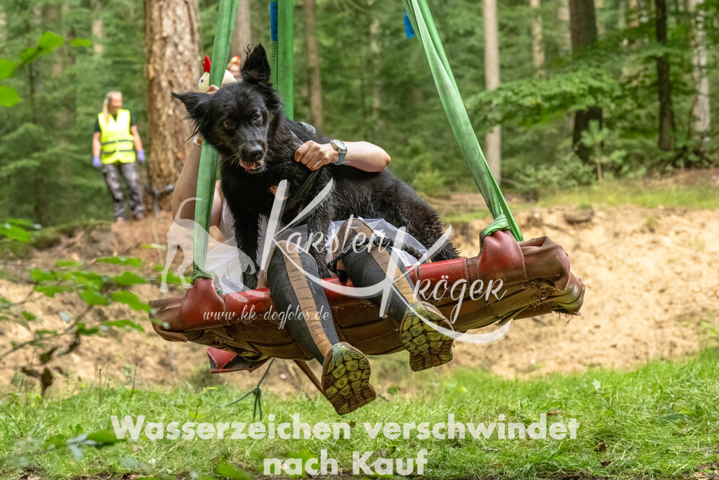 1331_ZZ93218-Bearbeitet | kk-dogfotos
