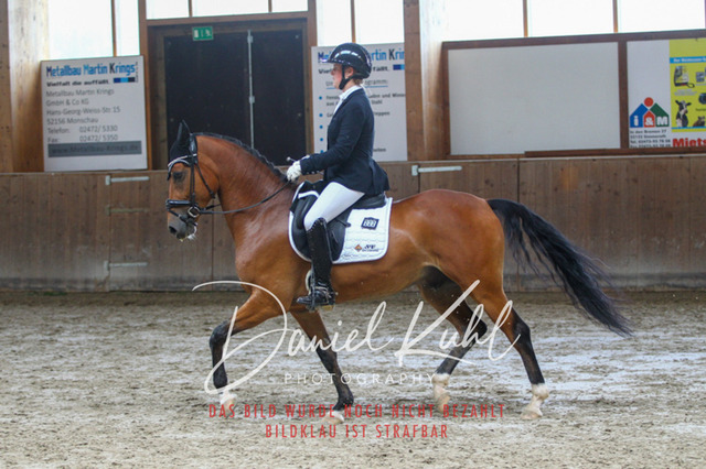 DKP43387 | Turniersportfotografie; Pferdefotografie; Dressurfotografie