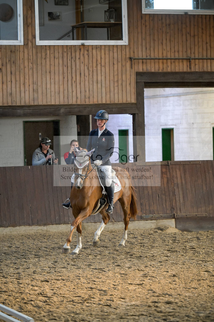 Reitturnier Voxtrup | Entdecke hochwertige Reitturnierfotos von Foto Oger. Professionell, emotional und authentisch – jetzt Lieblingsmomente im Shop bestellen.Deutschlandweite Turnierfotografie. - Realisiert mit Pictrs.com