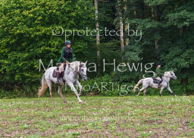 Jagd Perdoel 26 Sony-03537_MarinaHewig | Fotografie, FotoArt, PferdesportArt, Pferdesportfotografie, Landschaftsfotografie, Reisefotografie, Reise, Pferde - Realisiert mit Pictrs.com