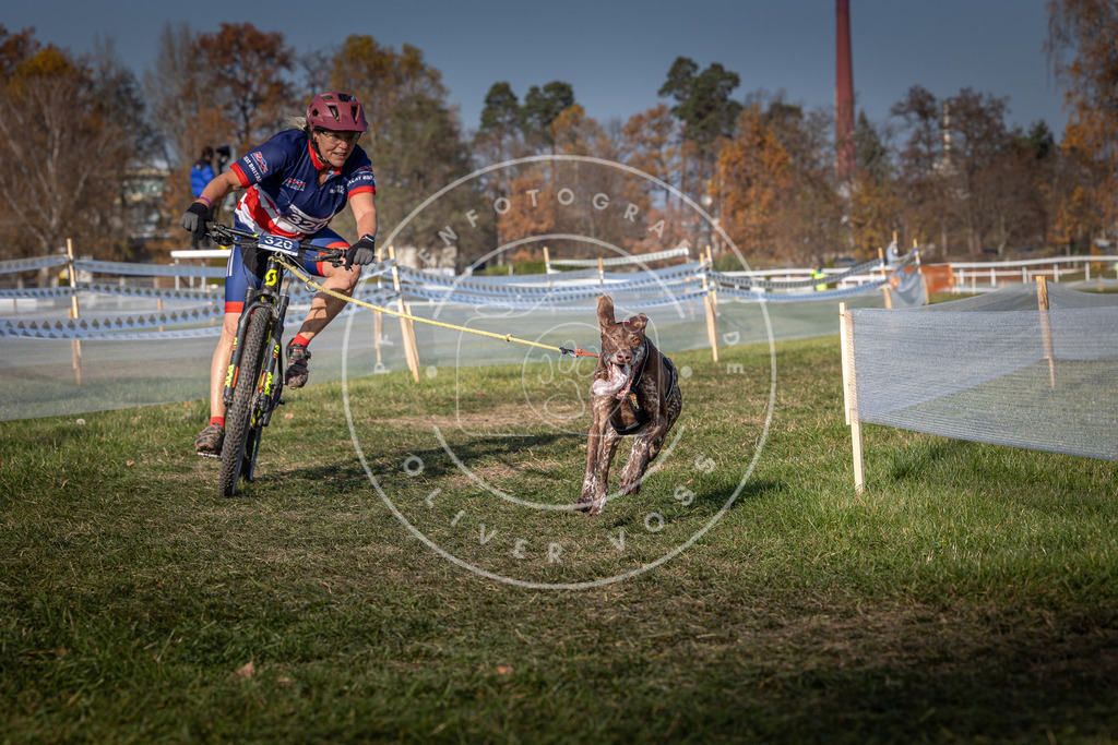 CaniXpix_0L8A7097 | Hundefotografie, Tierfotograf, Pfotenfotografie, Fotoshooting Hund, Hunde Portrait, Hundesport, Hundeportraits, Heideshooting, Hunde, Sportfotograf, Hundefotograf, Turnierhundsport, THS,  - Realisiert mit Pictrs.com