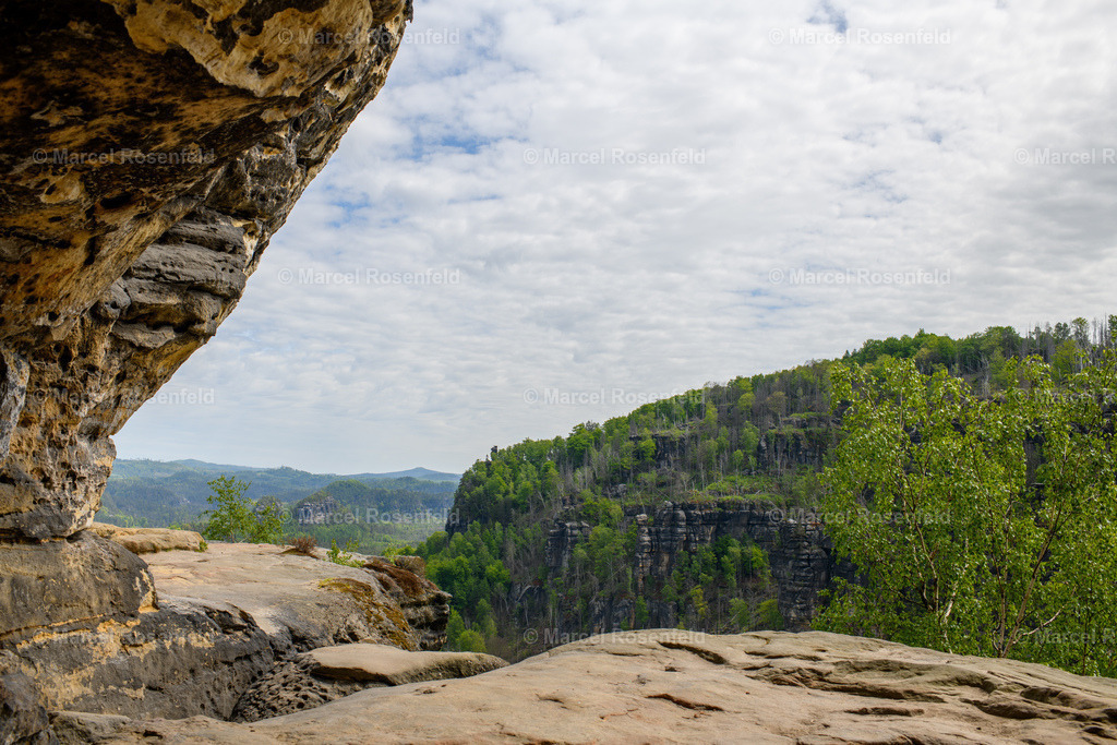 _DSC5006 | foto-rosenfeld