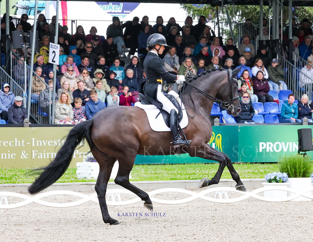 1B3A8066 | Reitsport Reiten
