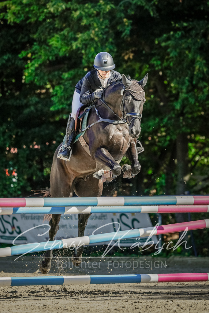 20250906-_3LI3350 | Tierfotografie Pferde, Hunde, Katzen, Haustiere.
Turnierfotografie Reitturniere, Reiten, Springreiten, Dressur in Hanau, dem Main-Kinzig-Kreis und dem Rhein-Main- Gebiet um Frankfurt