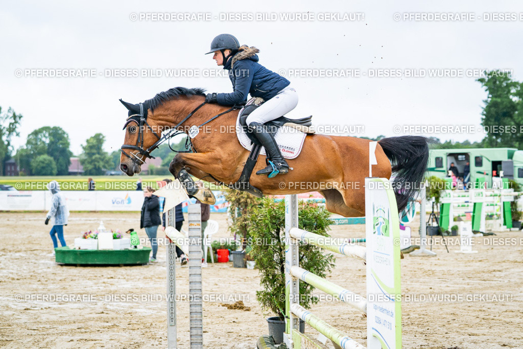 DSC03584 | Pferdegrafie