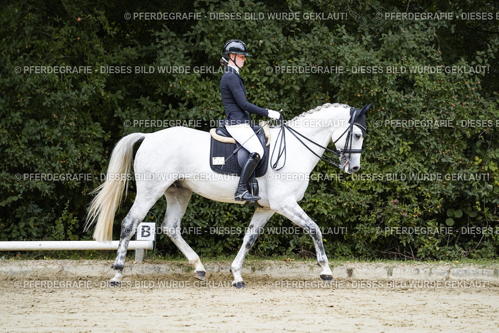 DSC08456 | Pferdegrafie