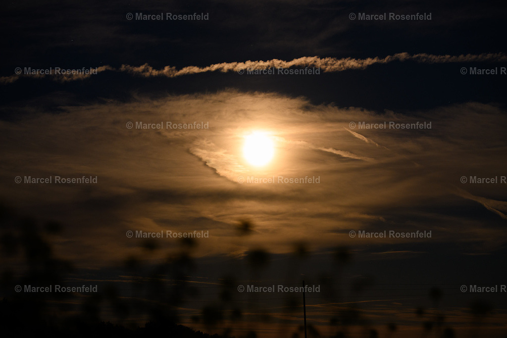 _DSC7734 | foto-rosenfeld